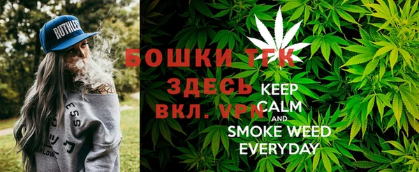 прущая мука Иннополис