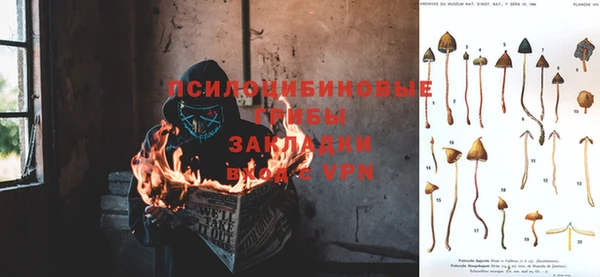 прущая мука Иннополис