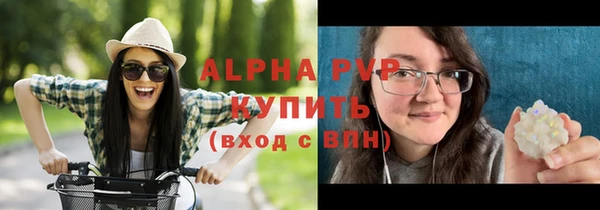 гашик Каменка