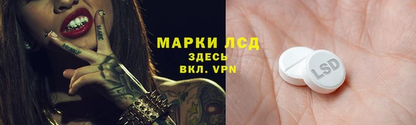 гашик Каменка