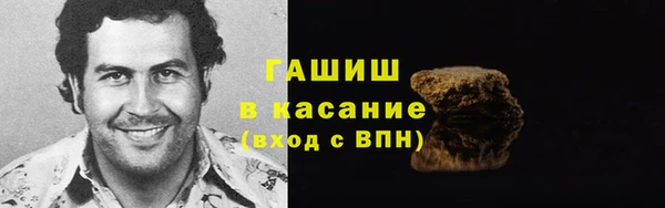 гашик Каменка