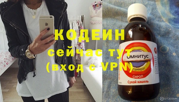 гашик Каменка