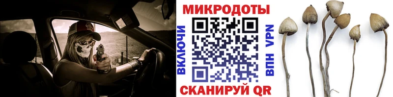 Псилоцибиновые грибы GOLDEN TEACHER  Спасск 